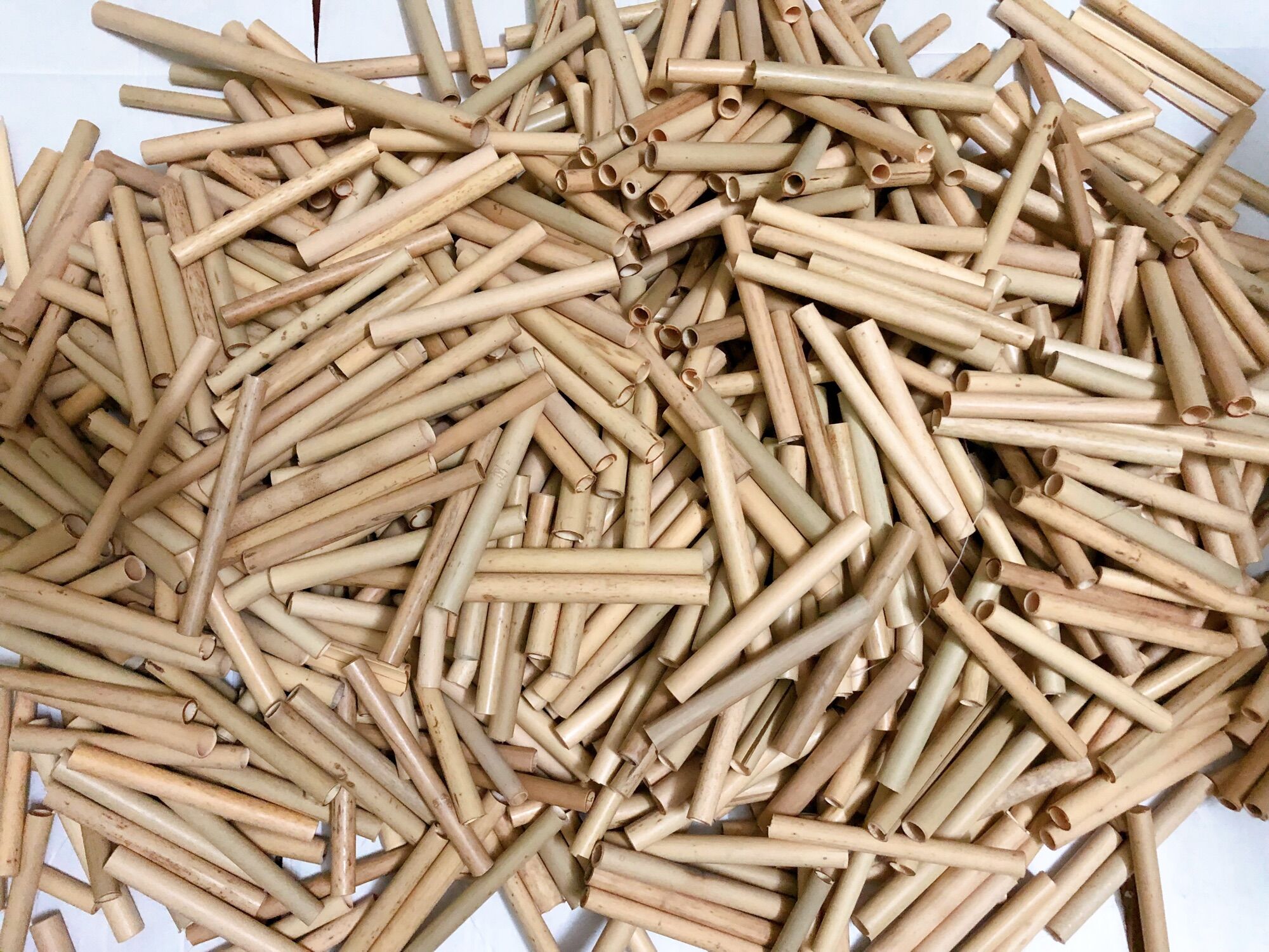 50 ống tre làm handmade