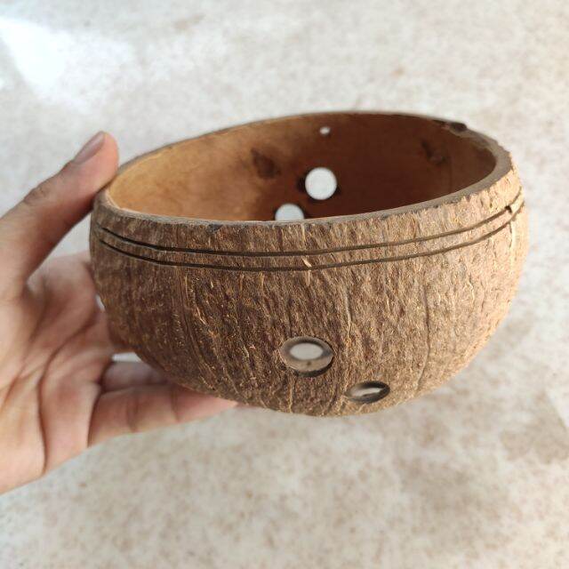 Gáo Dừa Trồng Cây Khoan Lỗ Viền Miệng