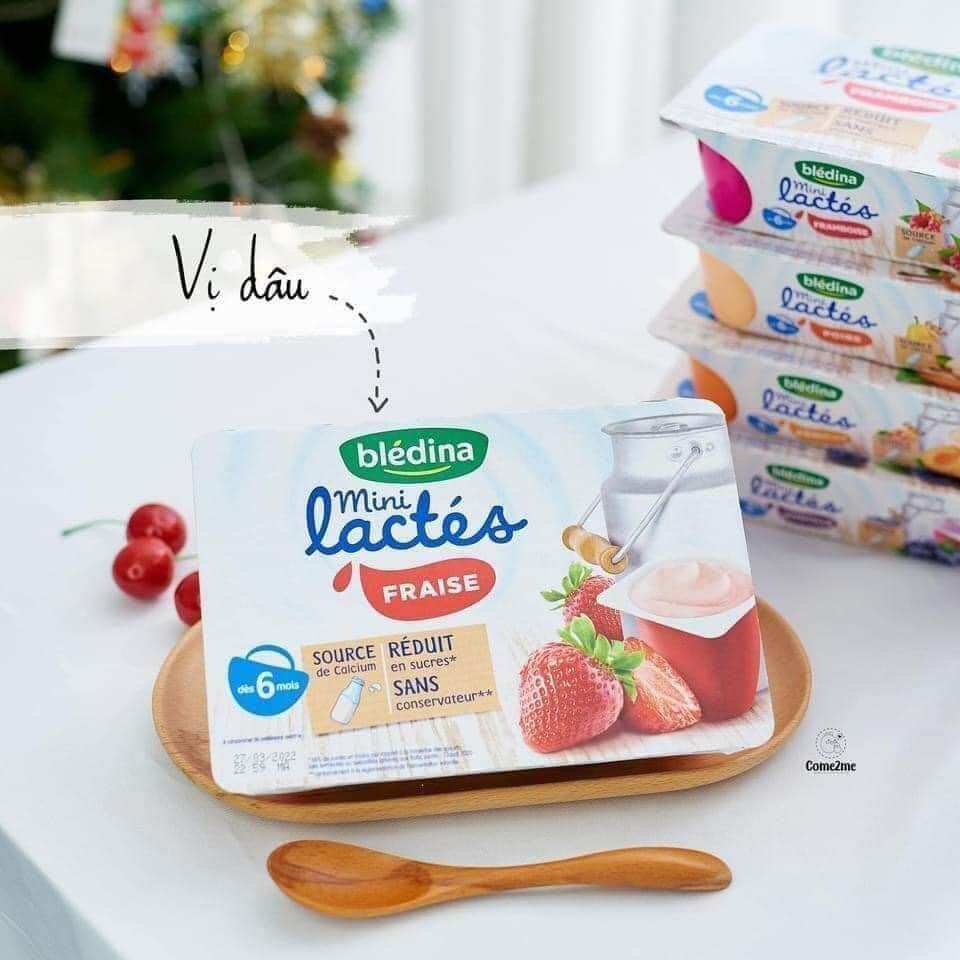 Sữa chua Bledina của Pháp