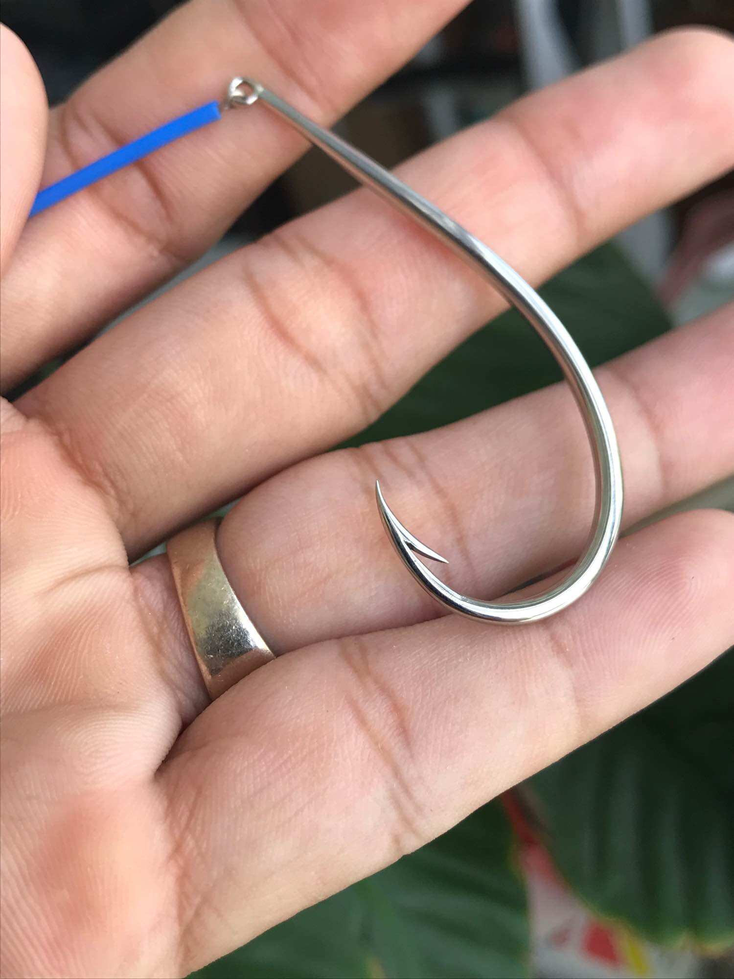 Lưỡi câu trứng rùa
