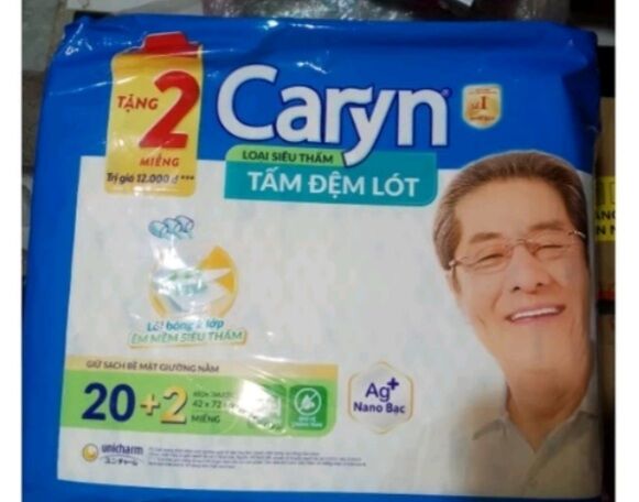 Caryn tấm đệm lót siêu thấm gói 20 miếng - N007