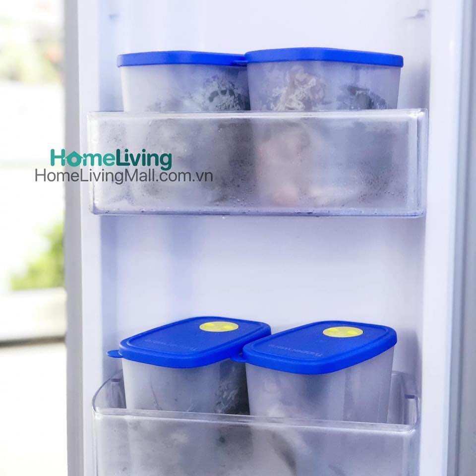 Set 4 hộp trữ đông 820ml Tupperware