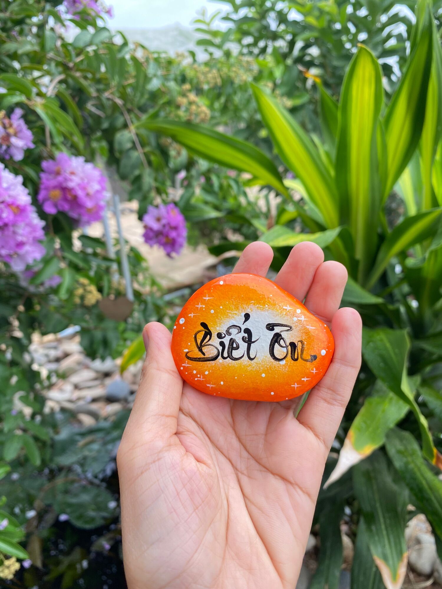 Hòn đá biết ơn 7 tông màu