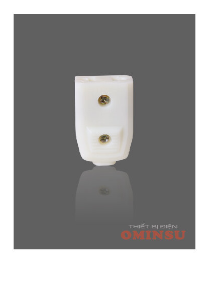 Đầu nối âm ominsu phích âm