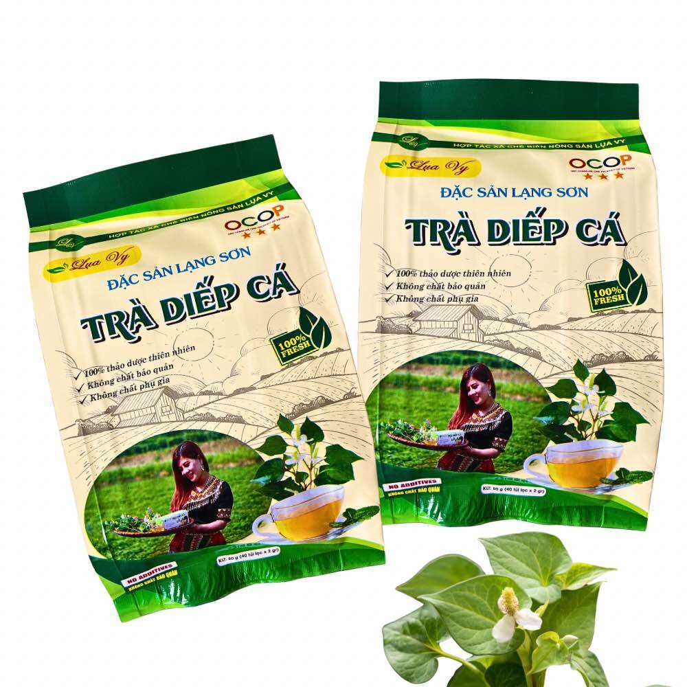 ( gói)Trà Diếp Cá Lụa Vy 40 Túi Lọc-Thanh Nhiệt , mát gan
