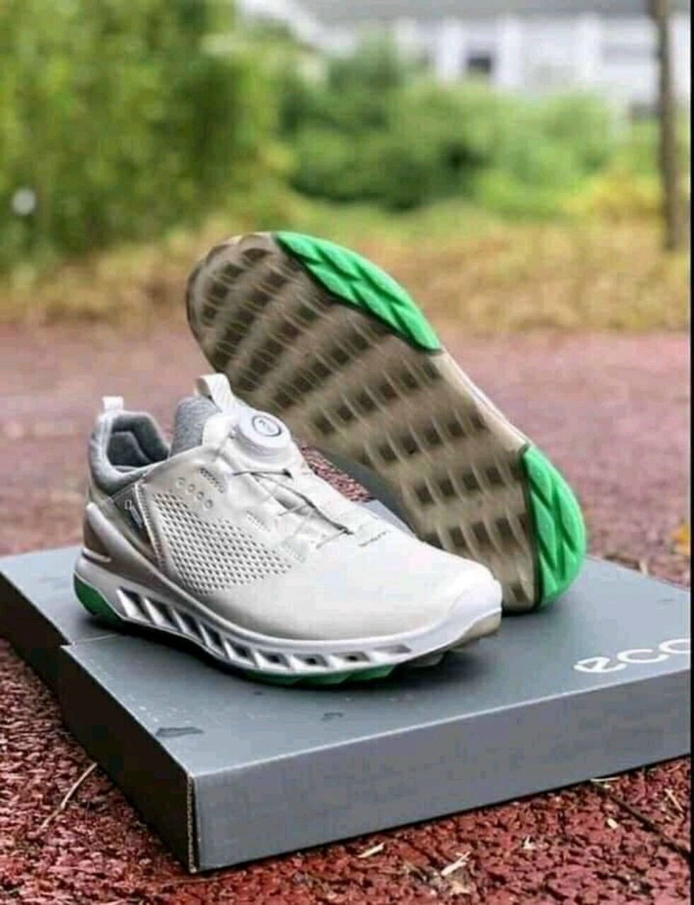 Giày Ecco Golf Nam