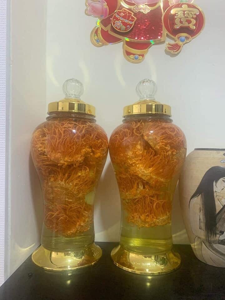 1 hộp nấm đông trùng hạ thảo