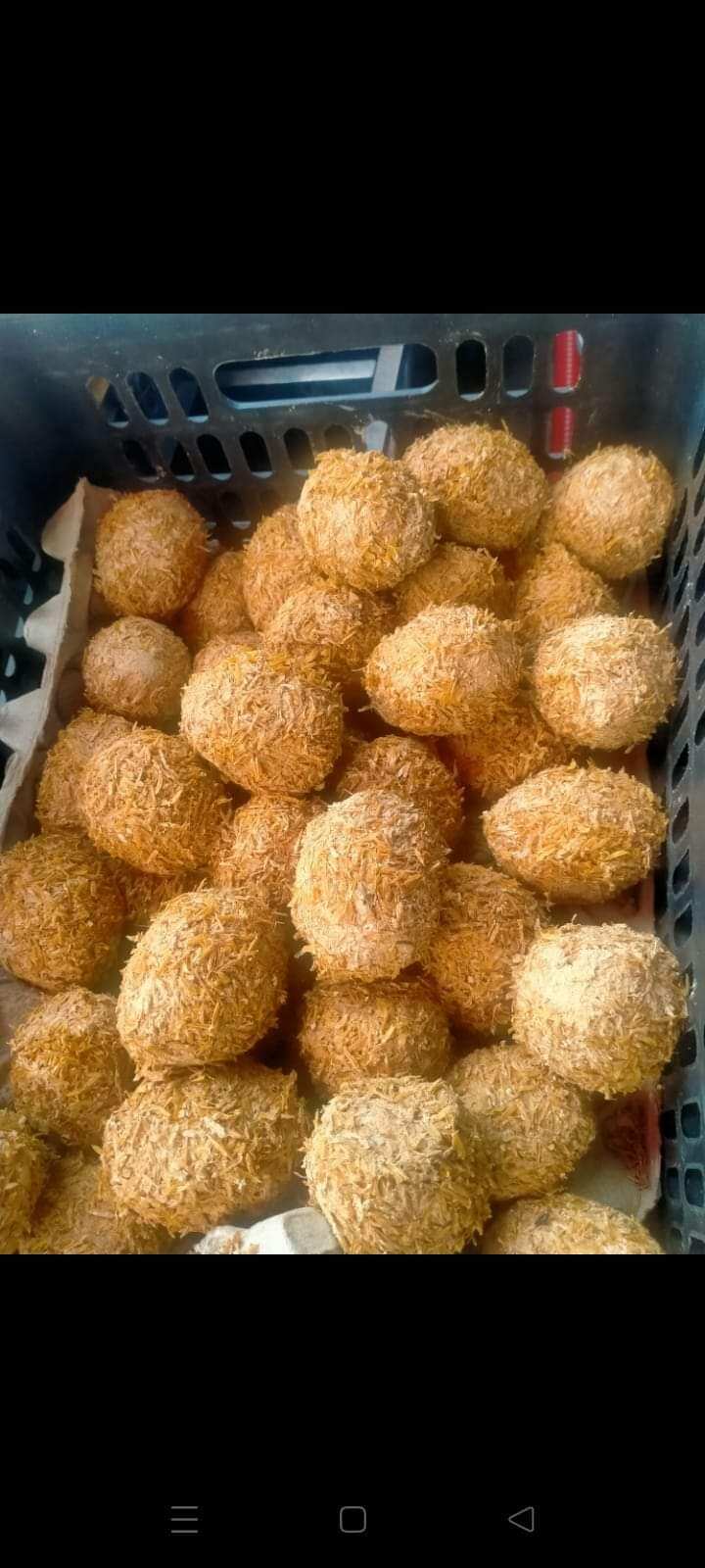 4 trứng vịt bách thảo