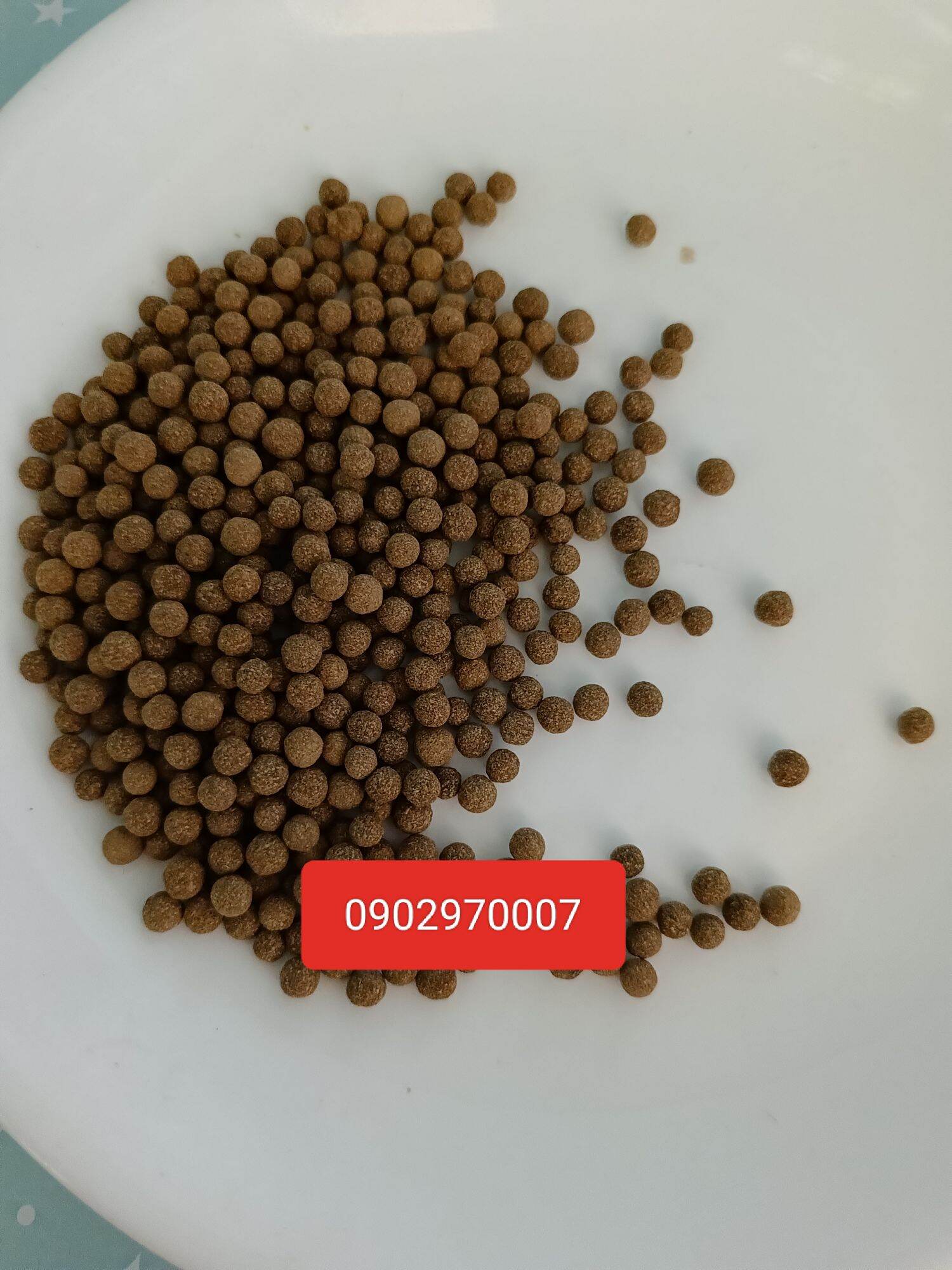 viên vỏ bưởi giảm cân
