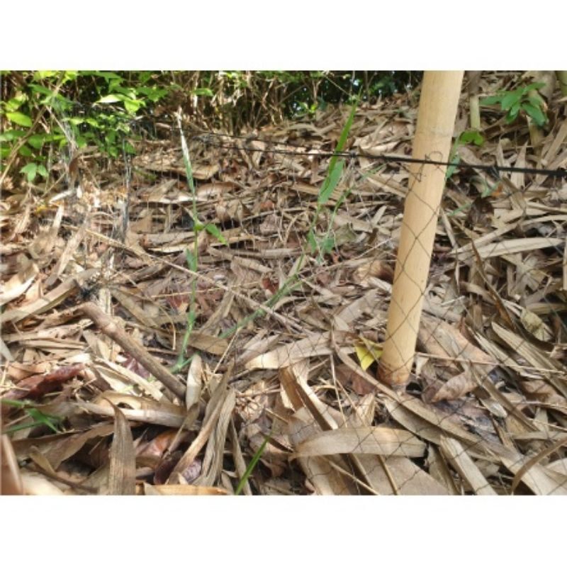 Lưới bẫy rắn mắt lỗ 4 phân. 1 tấm dài 13m