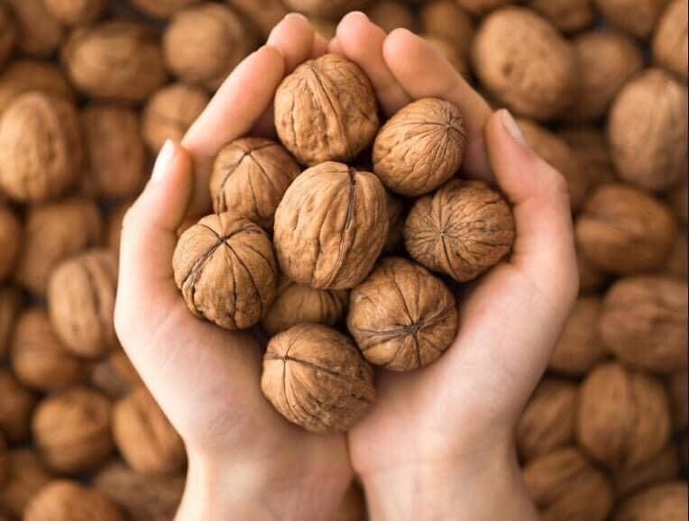 Nhân óc chó mỹ 500g