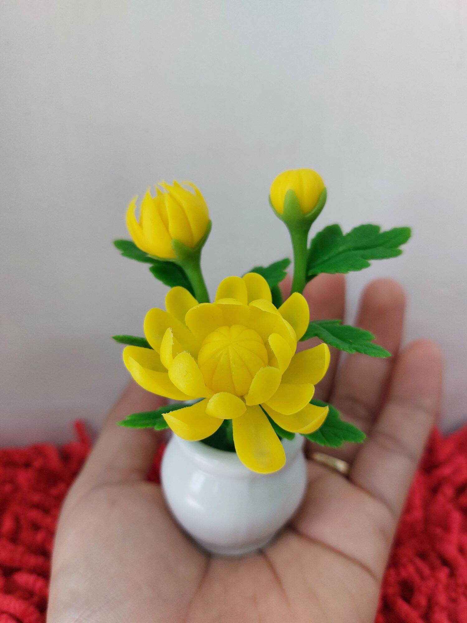 combo 5 chậu hoa đất sét mini cao 12cm đến 13cm
