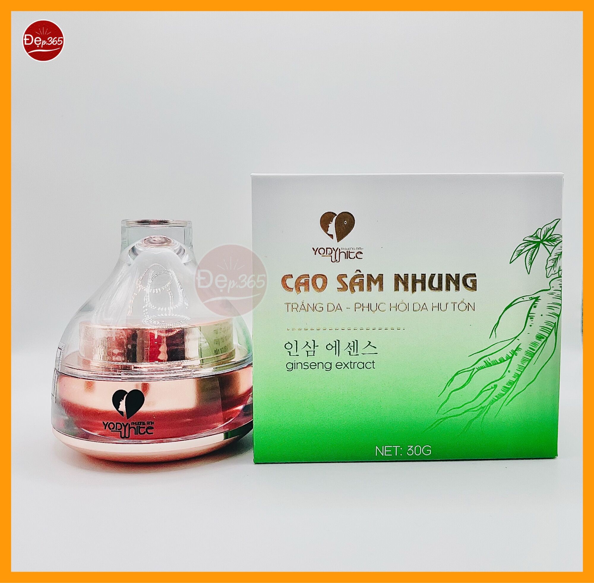 Kem cao sâm nhung Yody White Phương Anh phục hồi da hư tổn
