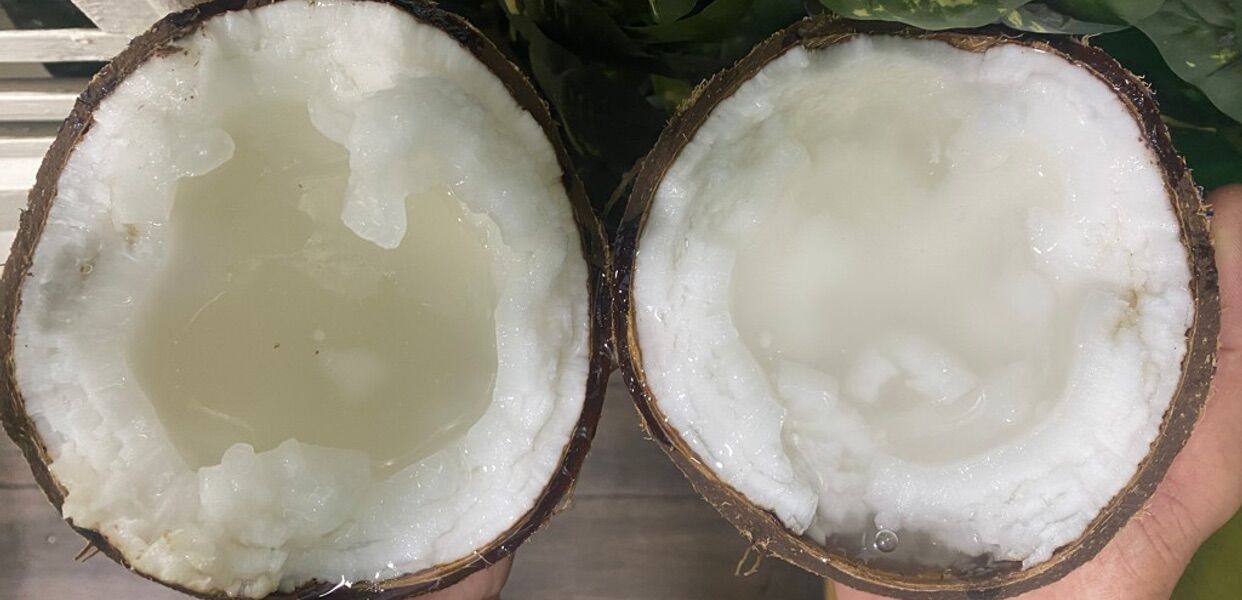 SẢN PHẨM CHỈ ĐĂNG MẪU TEST KHÔNG BÁN (PRODUCTS ONLY POST SAMPLES FOR DISPLAY TEST NOT FOR SALE)