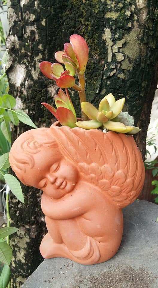 Chậu đất nung Bình Dương dáng thiên thần