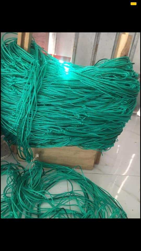 Lưới Thái làm giàn cây leo 1 x 2 mét  dây to
