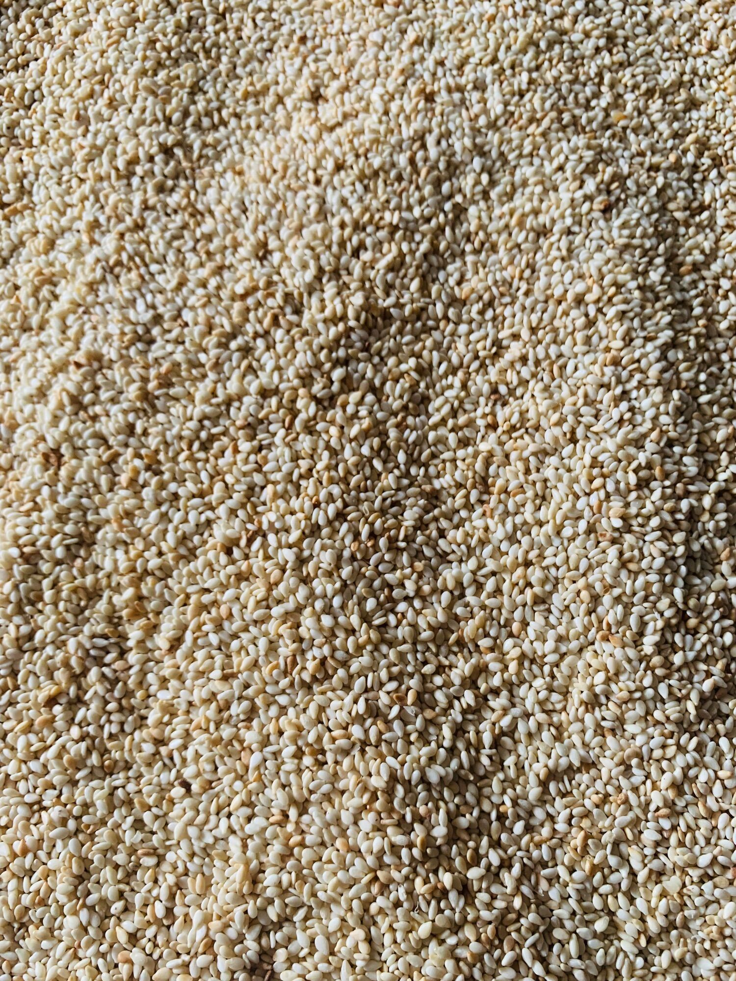 Vừng trắng rang sẵn làm bánh 500g