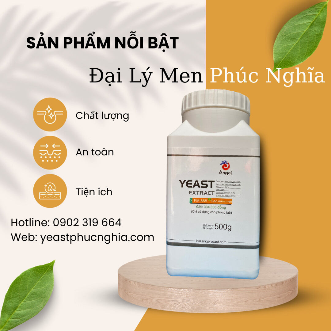 Cao nấm men yeast extract fm888