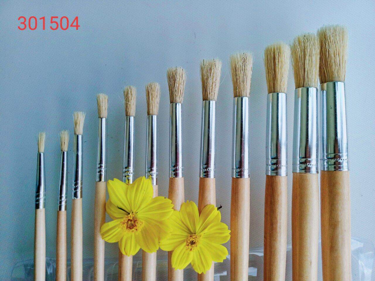 Bộ cọ long heo họa sĩ chuyên nhiệp
