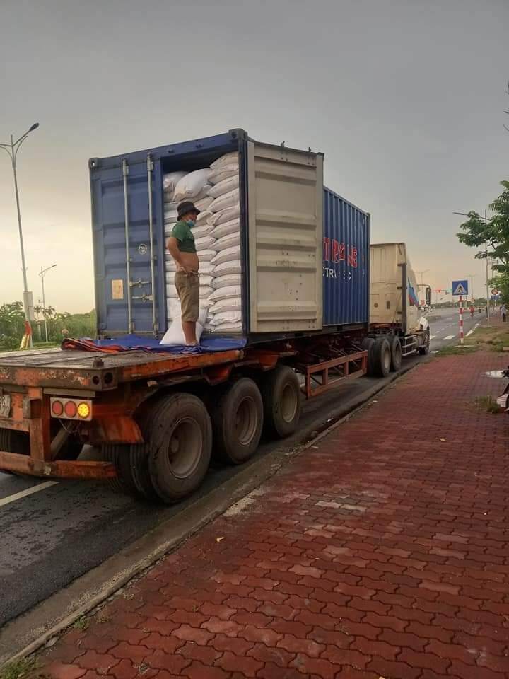 Đặc sản nếp cái hoa vàng (Gạo Hải Hậu Nam Định)