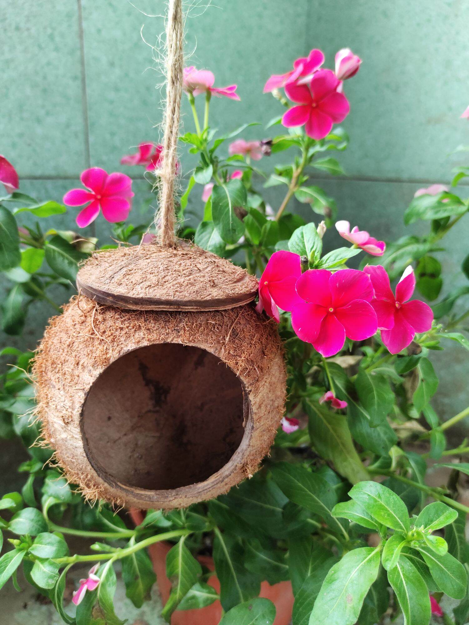 TỔ CHIM HAMSTER THÚ CƯNG GÁO DỪA MINI SIZE