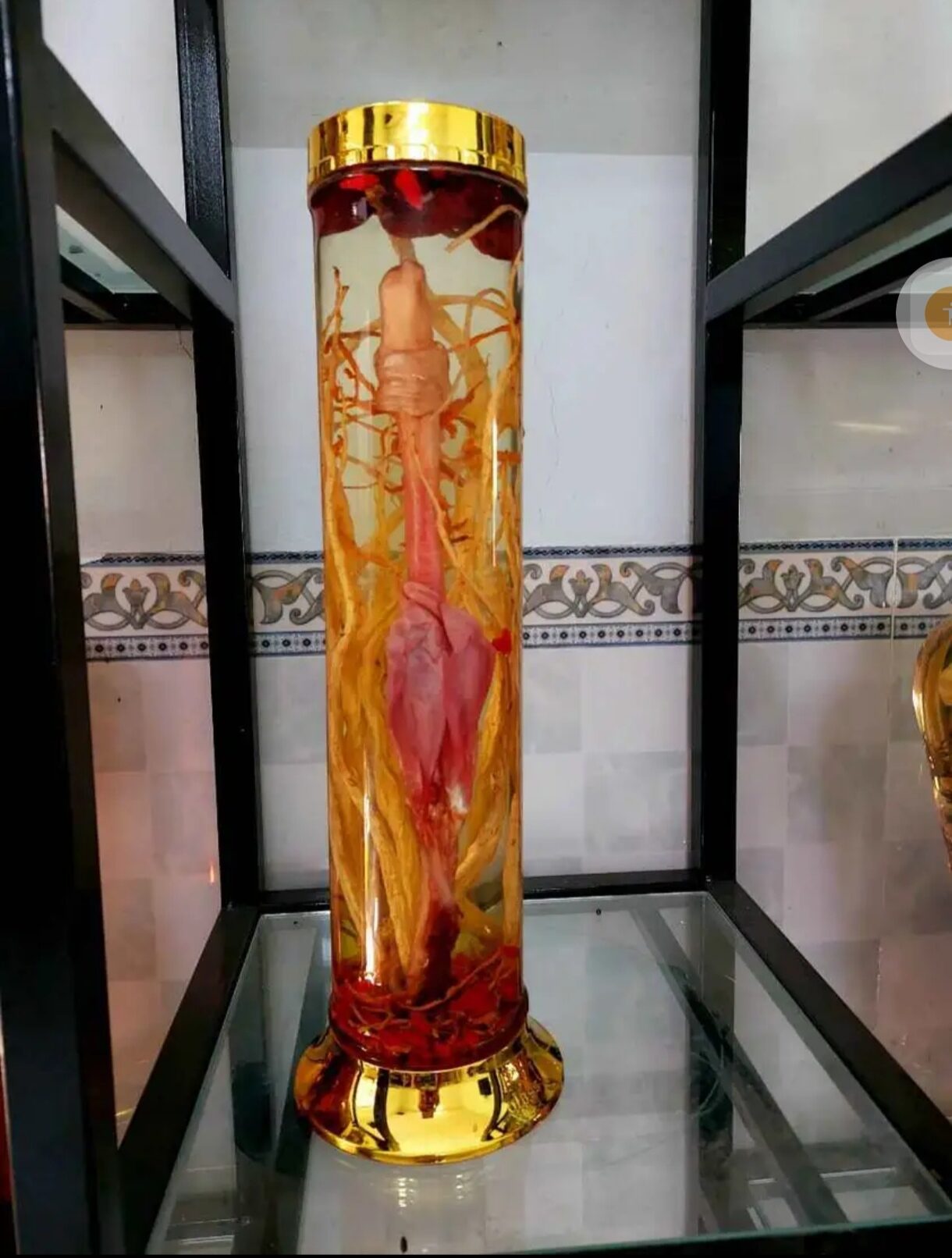 Pín 🦌khô ngâm sẵn
