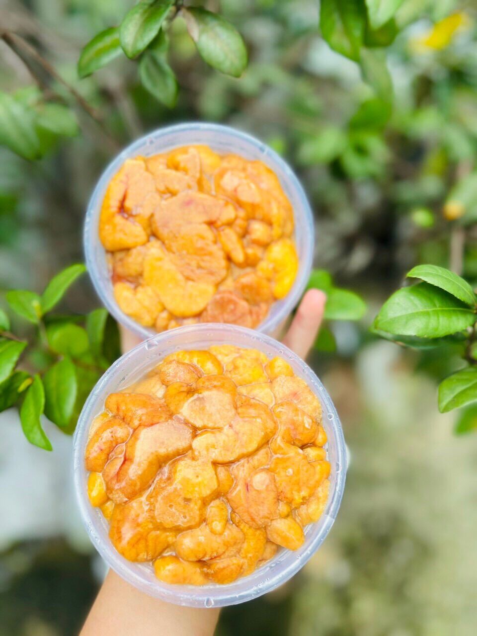 Trứng cá sặc bổi 500g