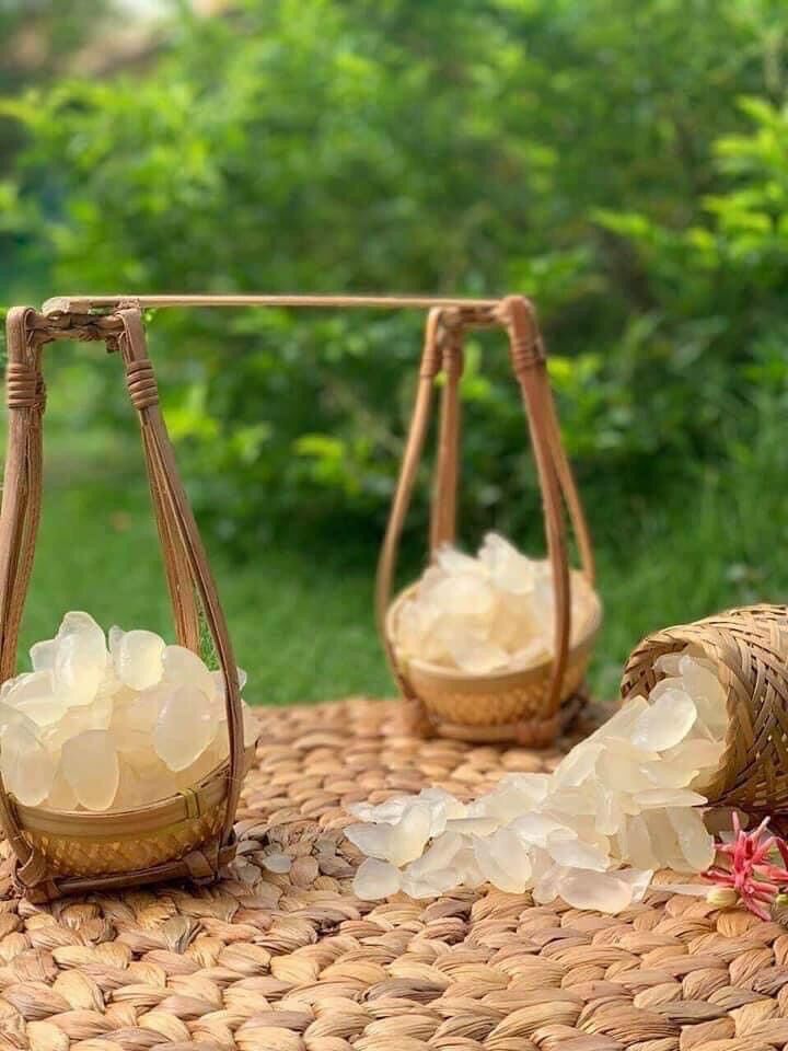 MỨT THỐT NỐT THÁI LAN - HỦ 500GRAM