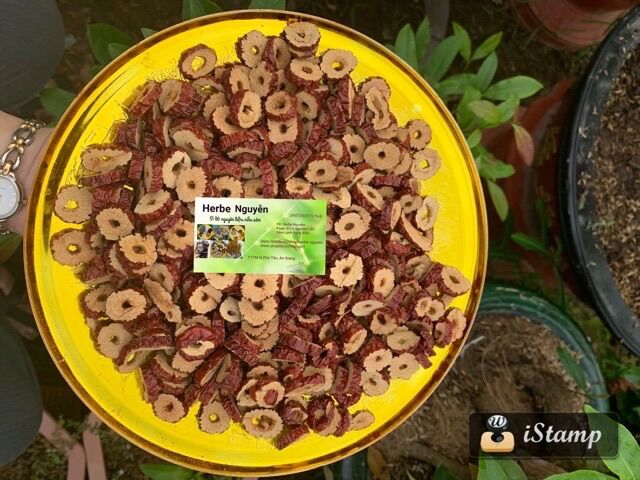 Táo cắt lát 100g