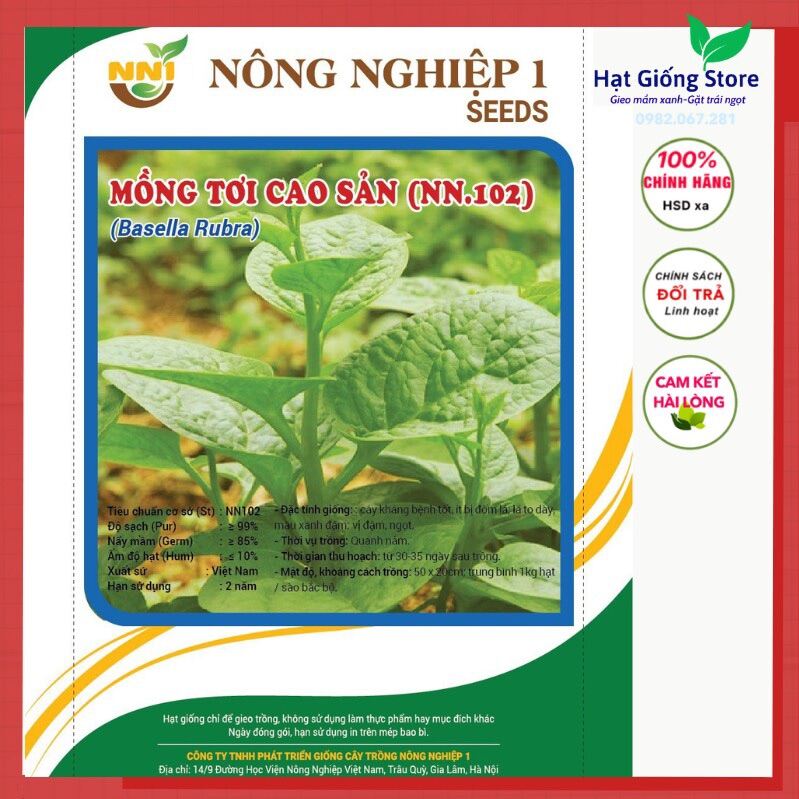 Hạt giống rau mồng tơi lá to lá trầu, Mùng tơi trồng quanh năm, dễ chăm