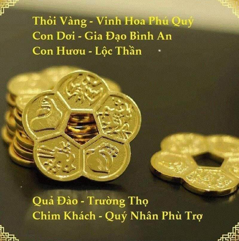 ĐỒNG HOA MAI KIM TIỀN ( HÀNG ĐẸP)
