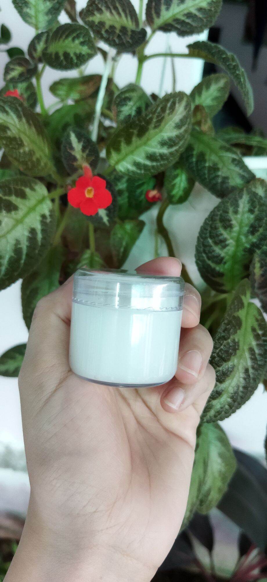 Men ủ trộn kem body trắng mịn da ( hàng loại 1) hộp 30g