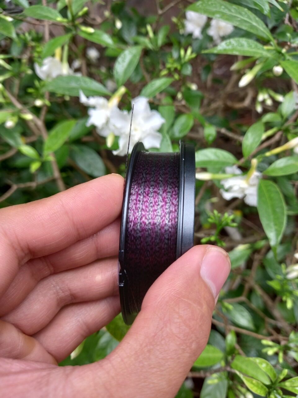 [CHÍNH HÃNG] CƯỚC CÂU CÁ QINGLONG 150M TÀNG HÌNH
