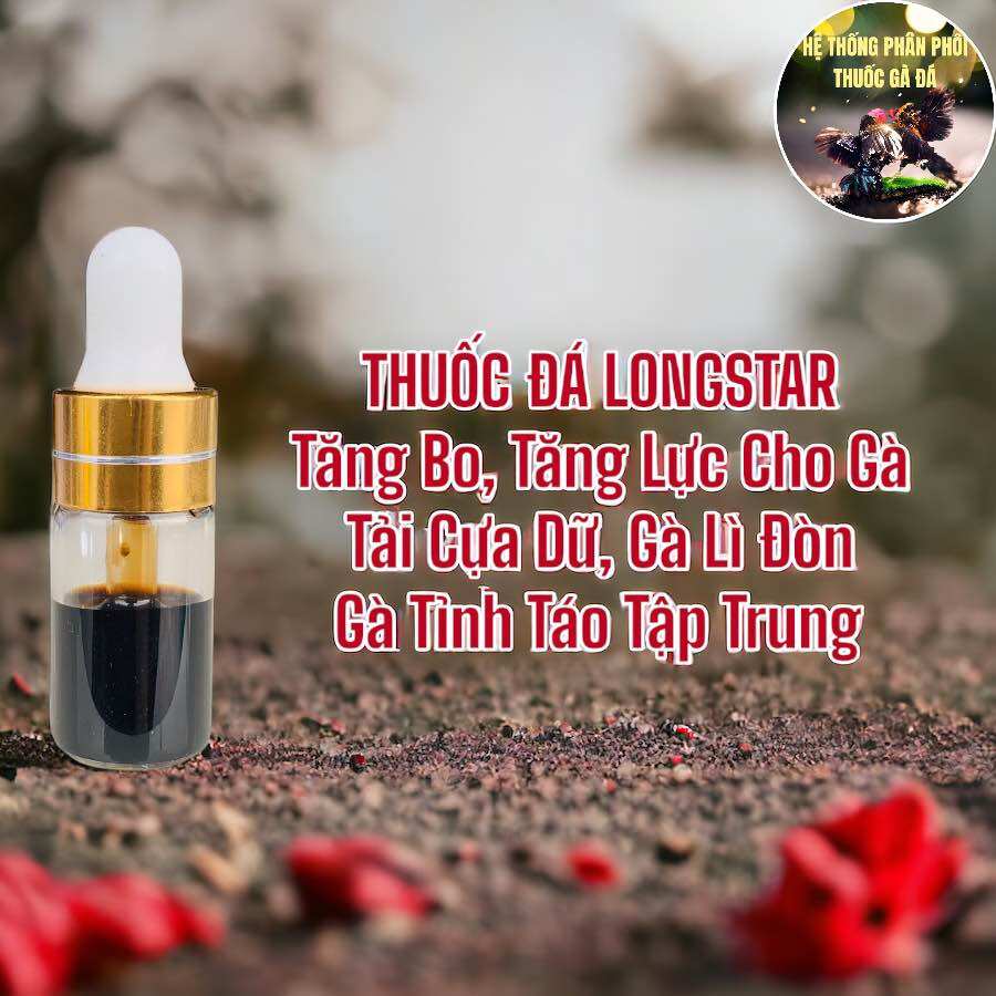 Thuốc đá longstar tăng bo, tăng lực, tải cựa, lì đòn, nuốt ói mạnh lọ 1 ml