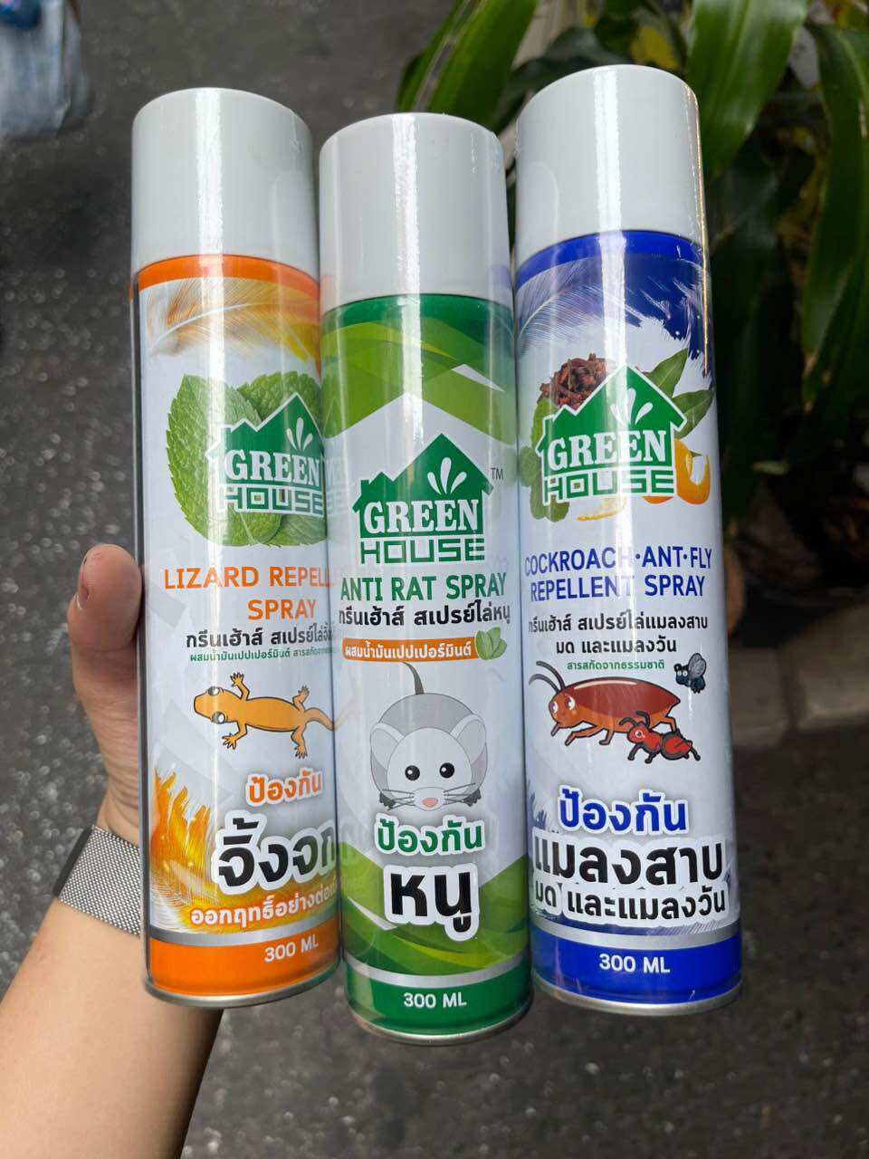 Chai xịt đuổi chuột - thằn lằn - gián green house thái lan