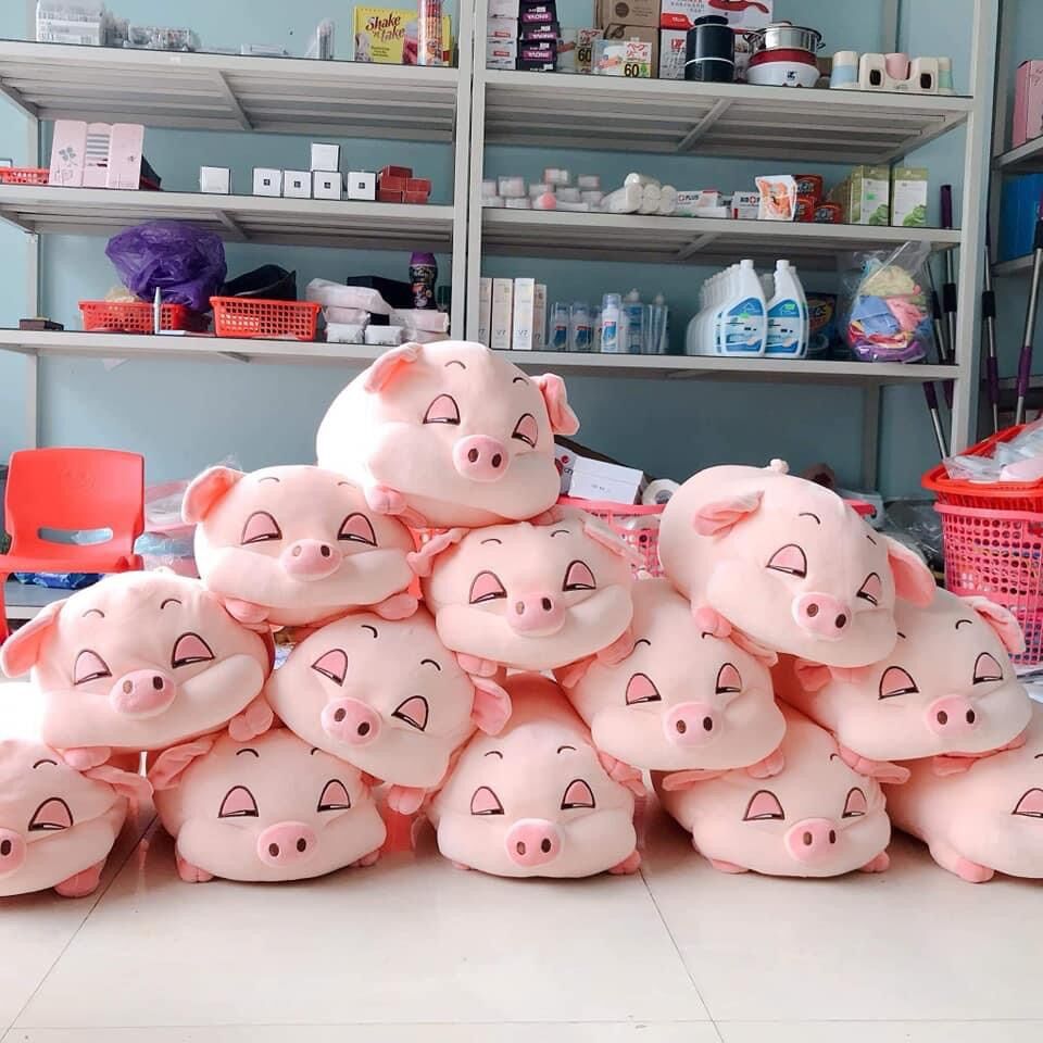 Gối ôm lợn kèm chăn mềm mịn