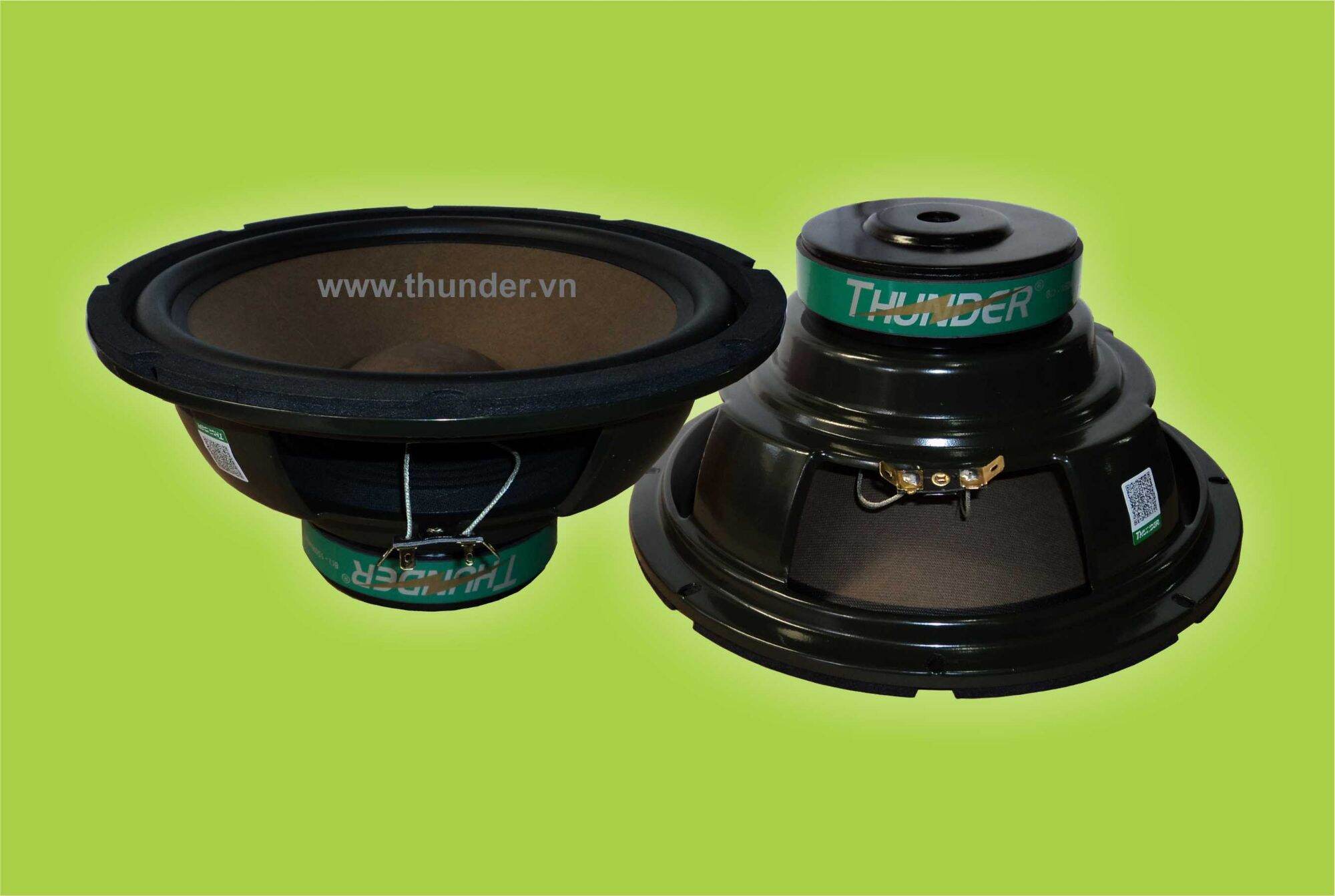 01 cặp - loa bass 25 cm
