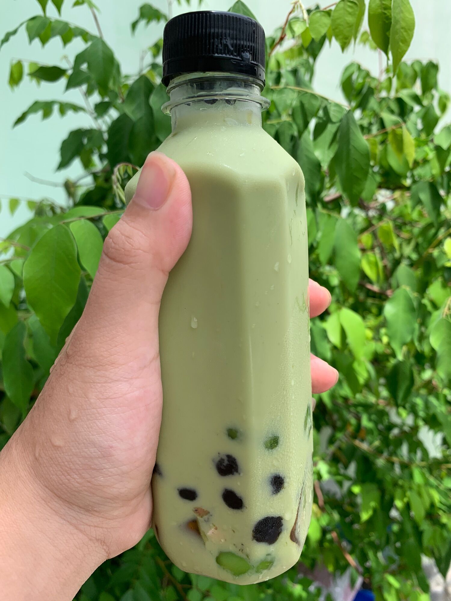 Set thái xanh trân châu đen