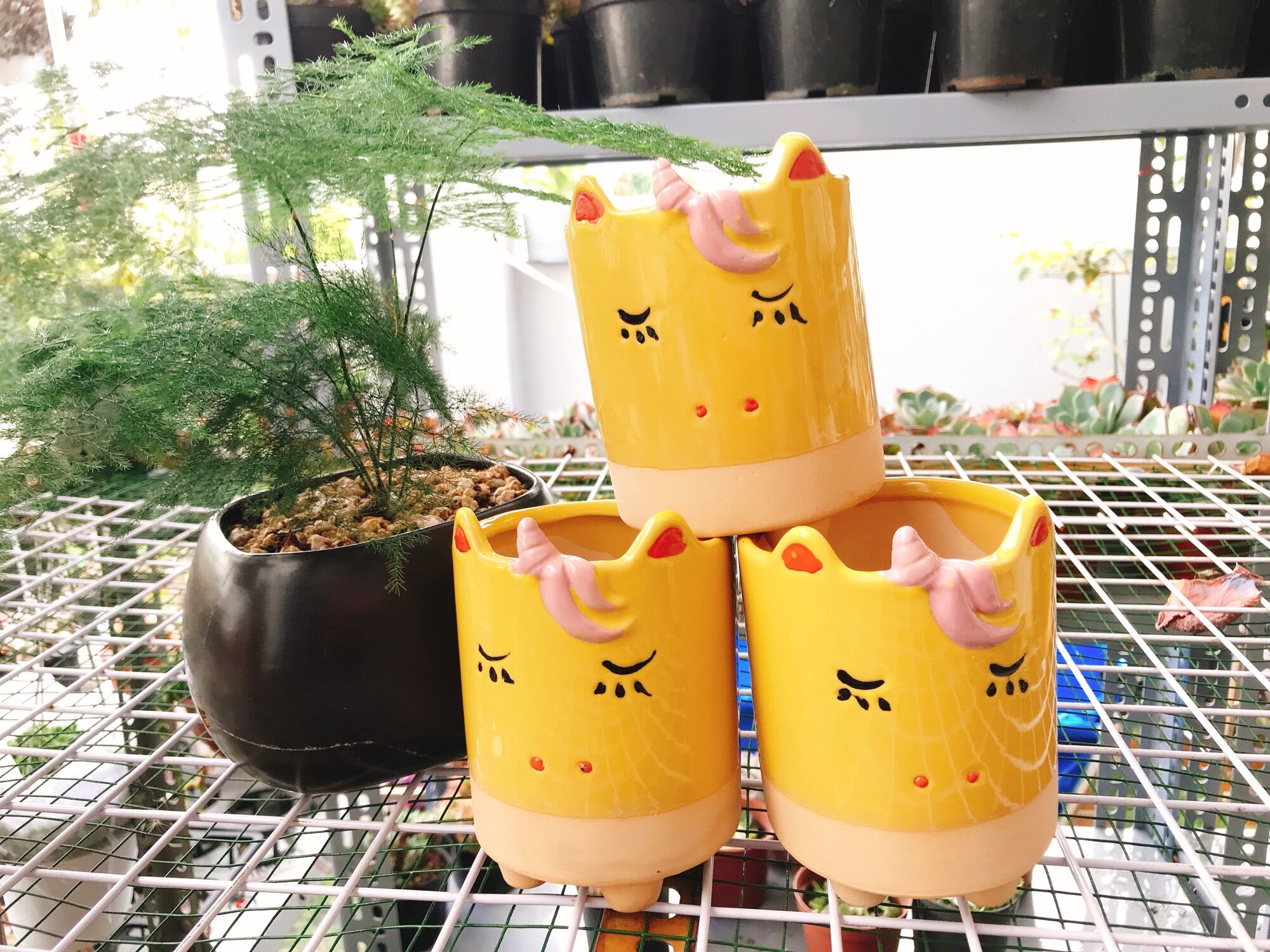 Chậu hình thú siêu kutee thích hợp trồng sen đá sương rồng có lỗ thoát nước