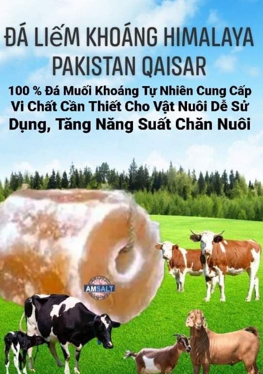 Đá liếm muối khoáng hồng Pakistan