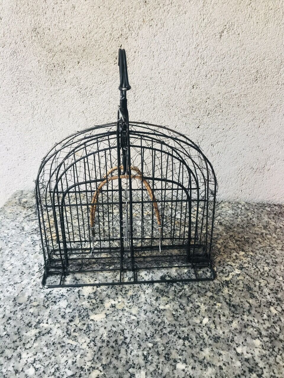 MẸT BẪY CHIM CHÀO MÀO