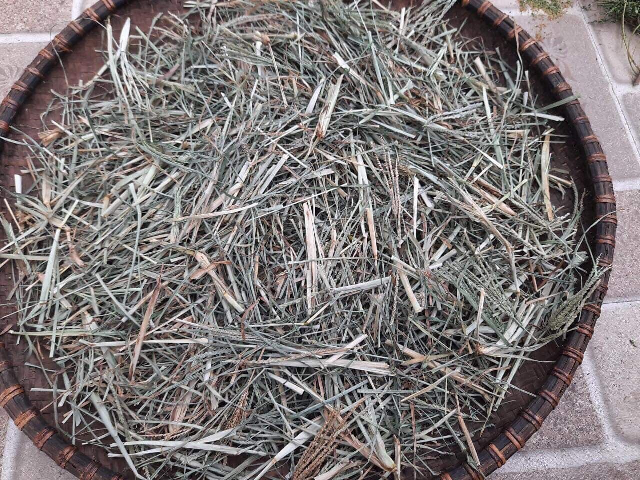Cỏ mần trầu khô 500g