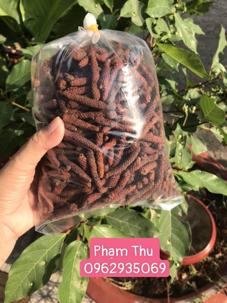 Tiêu lốp nhà trồng 500gr