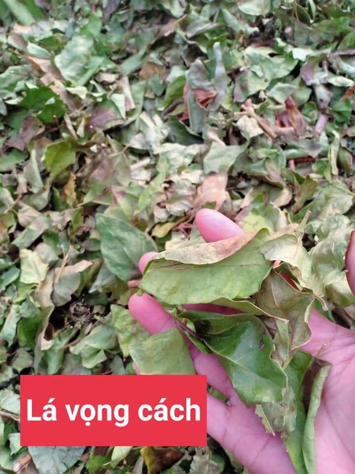 1 kg lá vọng cách khô