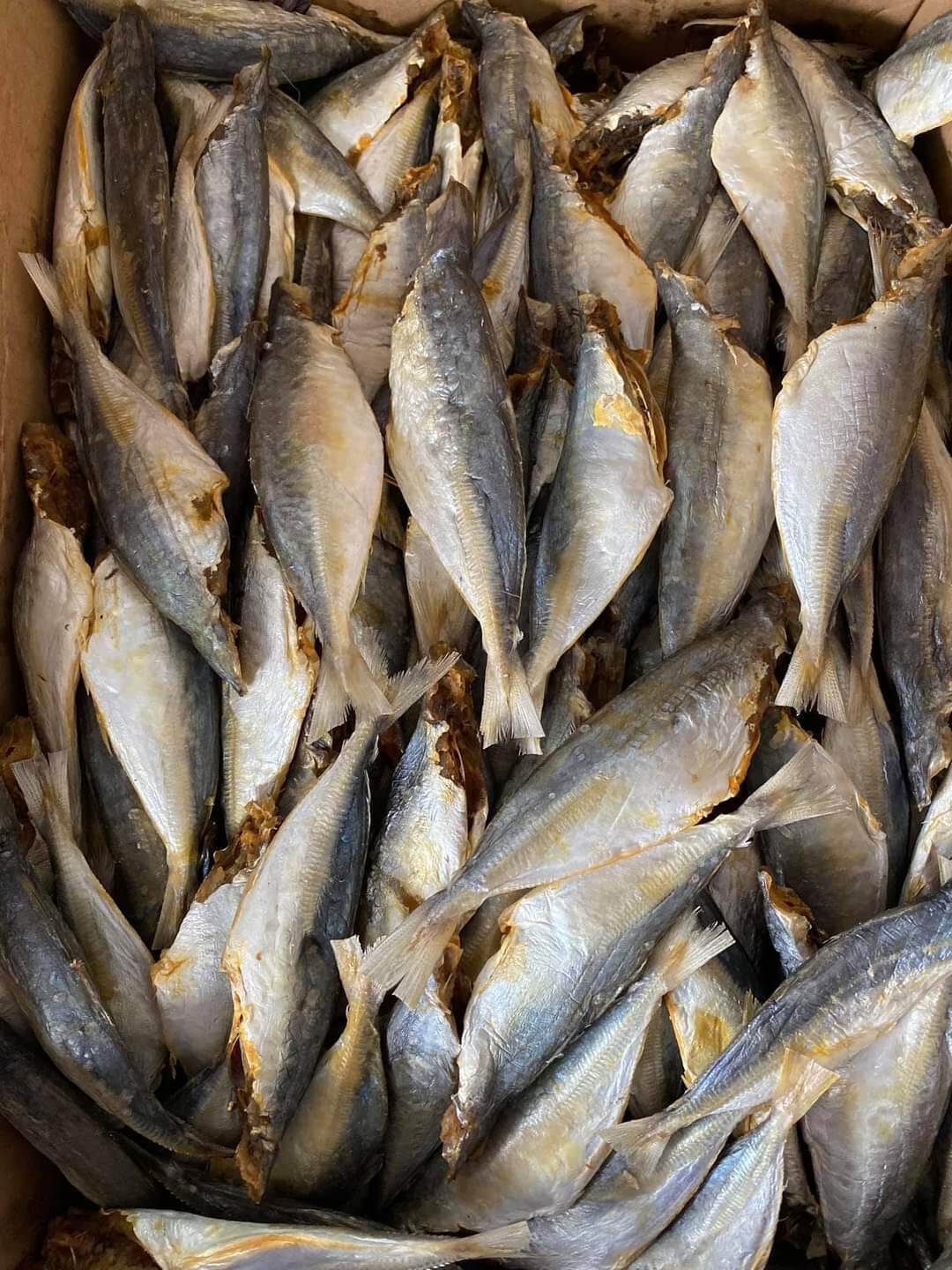 1kg Cá Nục khô VỪA ĂN