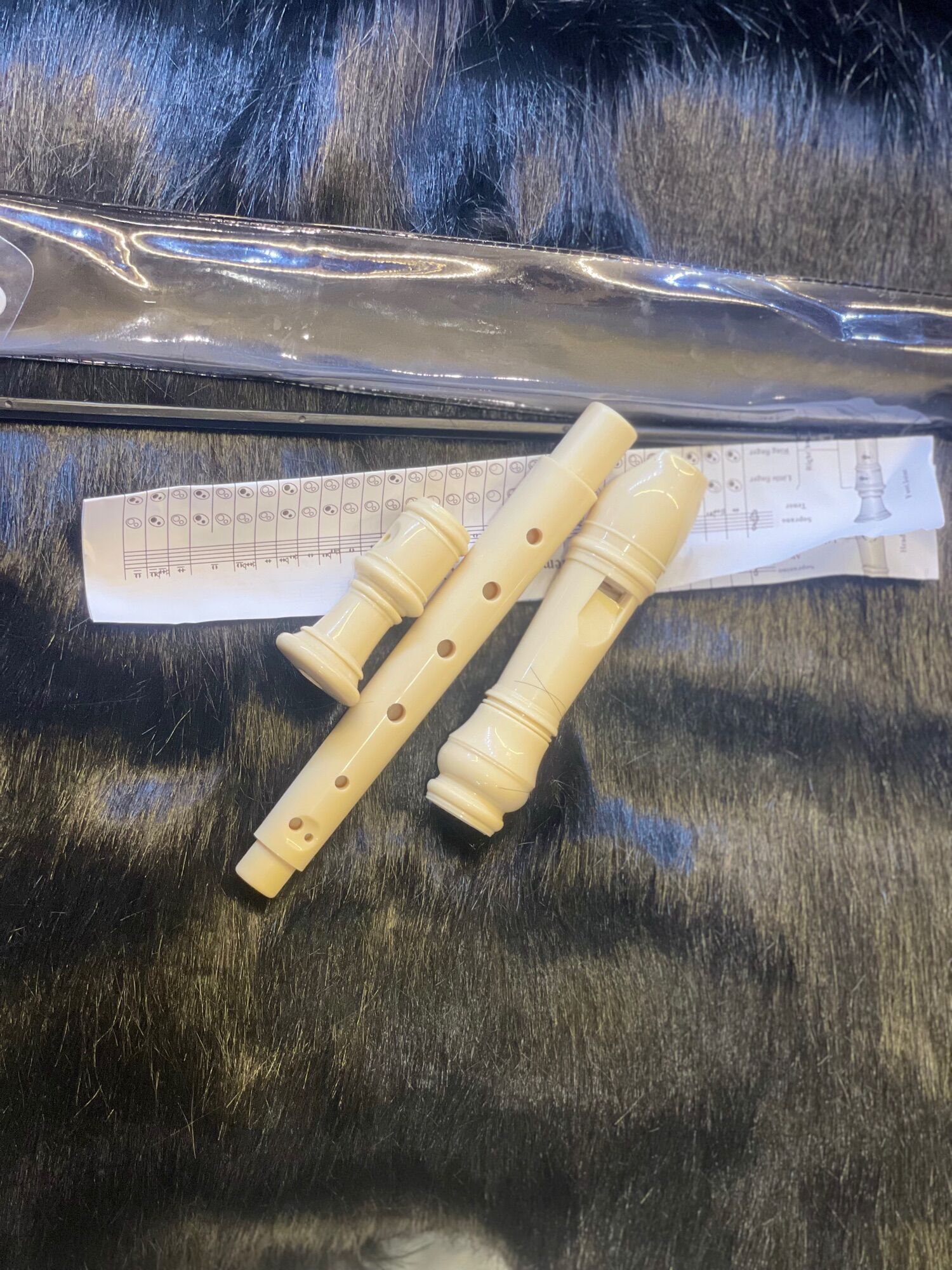 Sáo recorder daddi