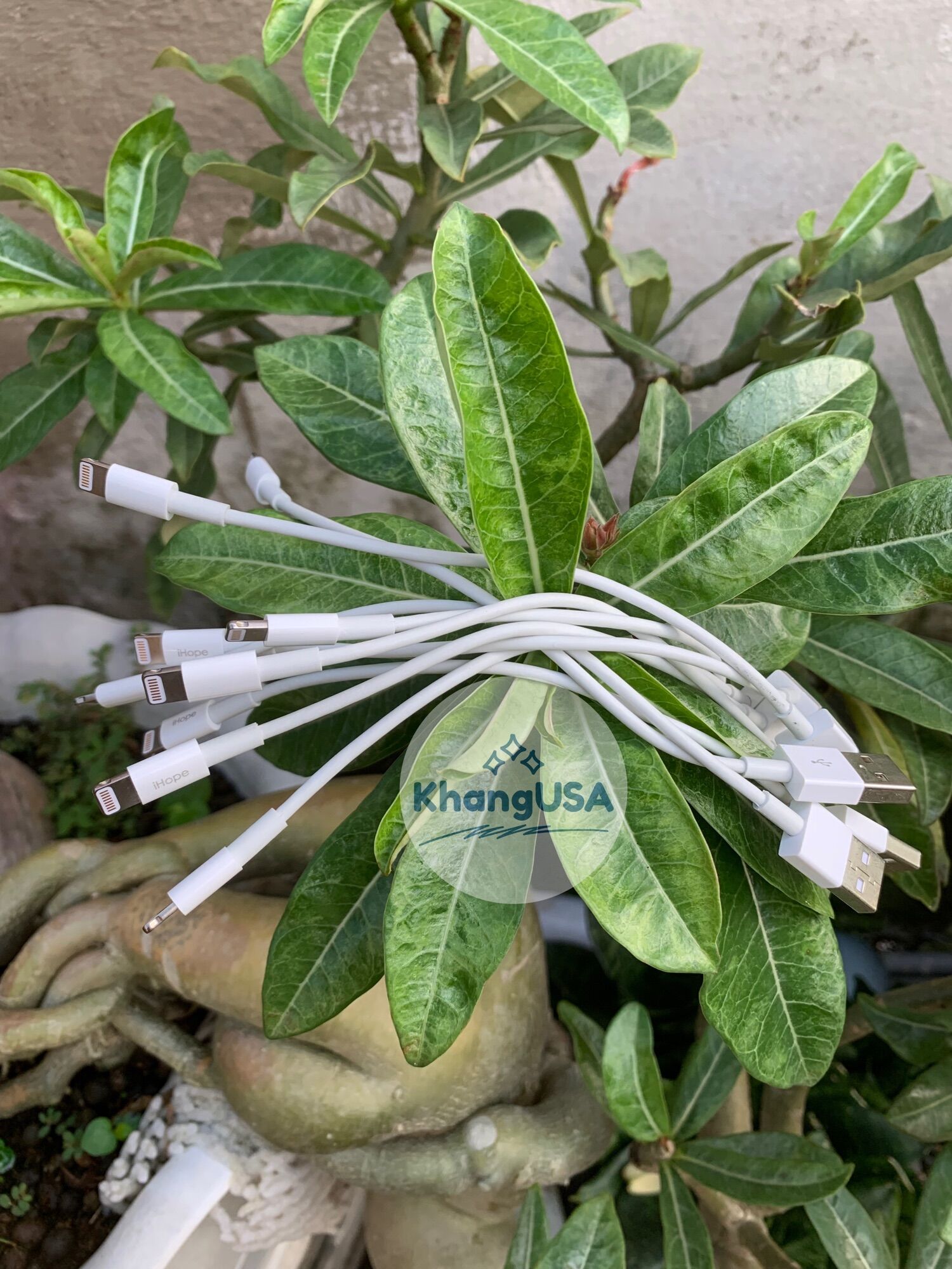Cáp IHope A to lightning 19cm chuẩn MFI