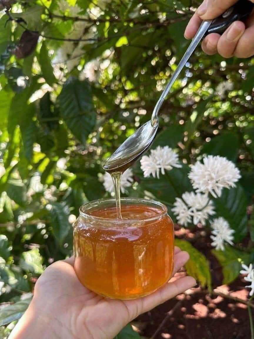 1 Lít Mật Ong Hoa Cà phê