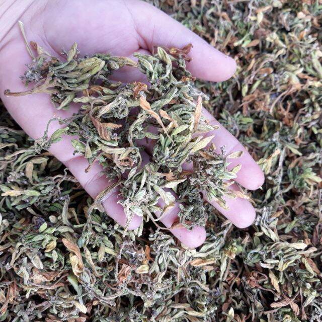 Hoa đu đủ đực 500g