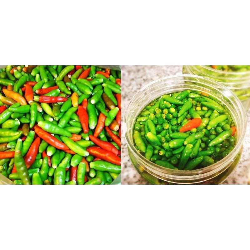 Hạt giống ớt xiêm (0.1gr), siêu cay dễ trồng